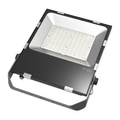 LED Flood Light--100W